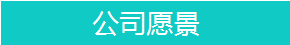 公司愿景.png