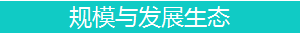 规模与发展生态.png